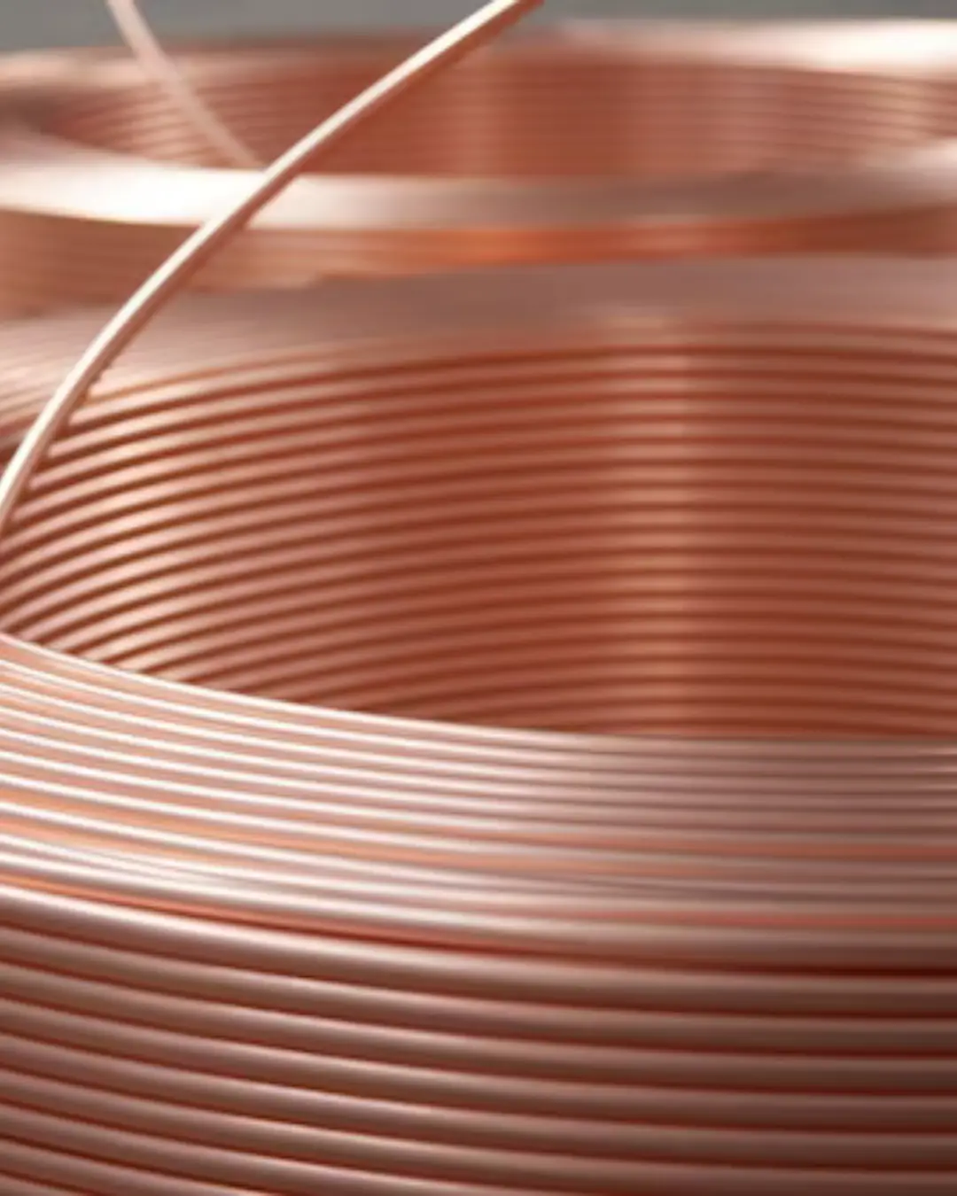 Coptec (4)